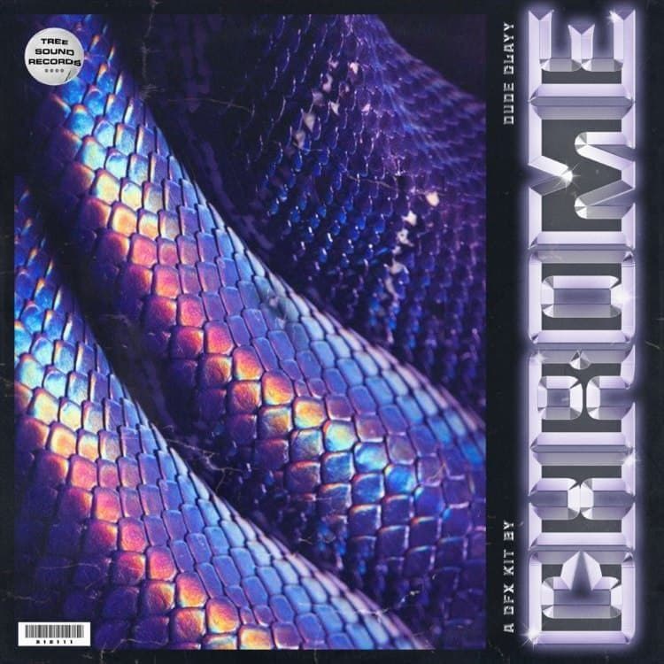 ✨Chrome✨