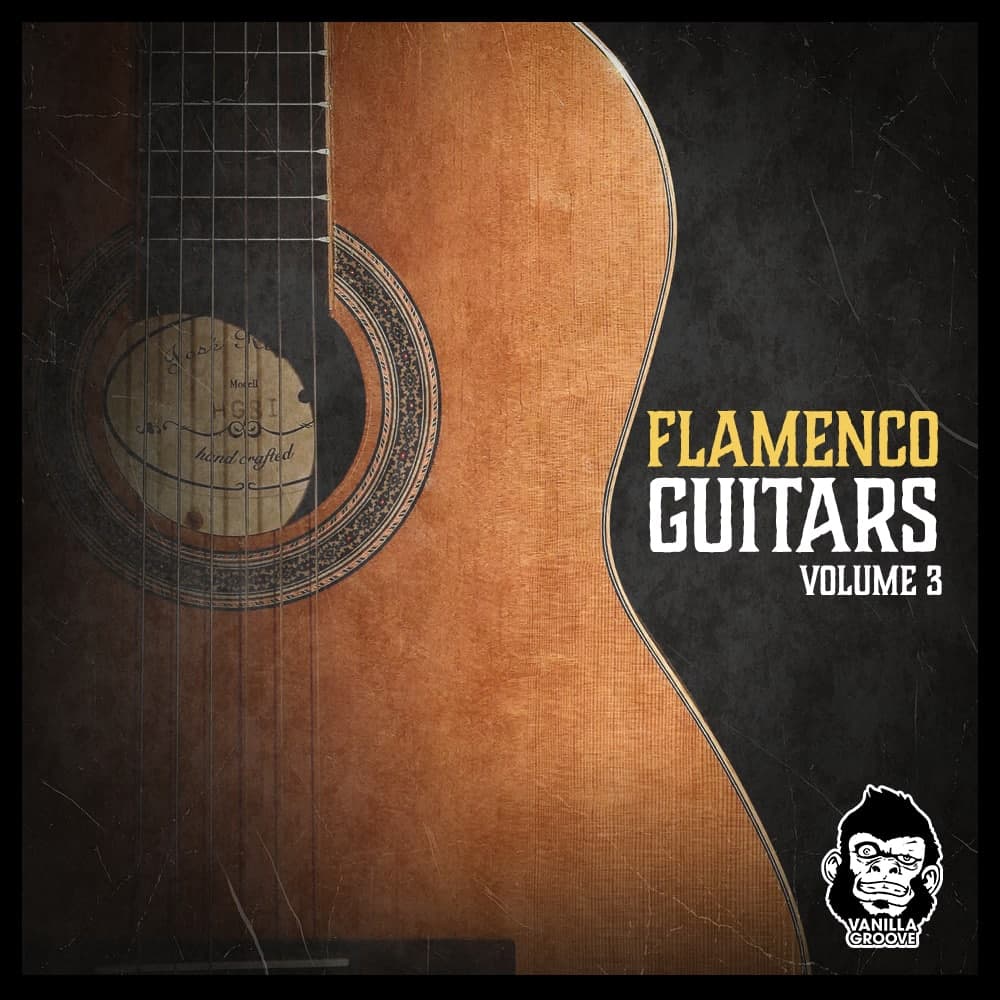 #vanilla #groove #studios #flamenco #guitars 